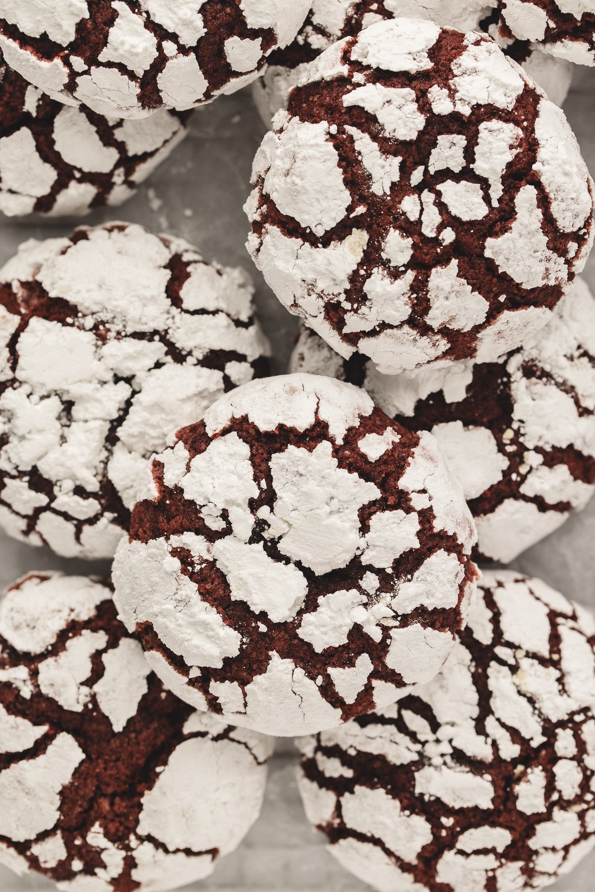 Holiday Pre-Sale: Cookies & Cupcakes