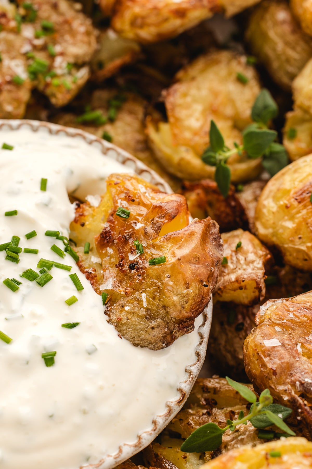 Holiday Pre-Sale: Dips & Spreads
