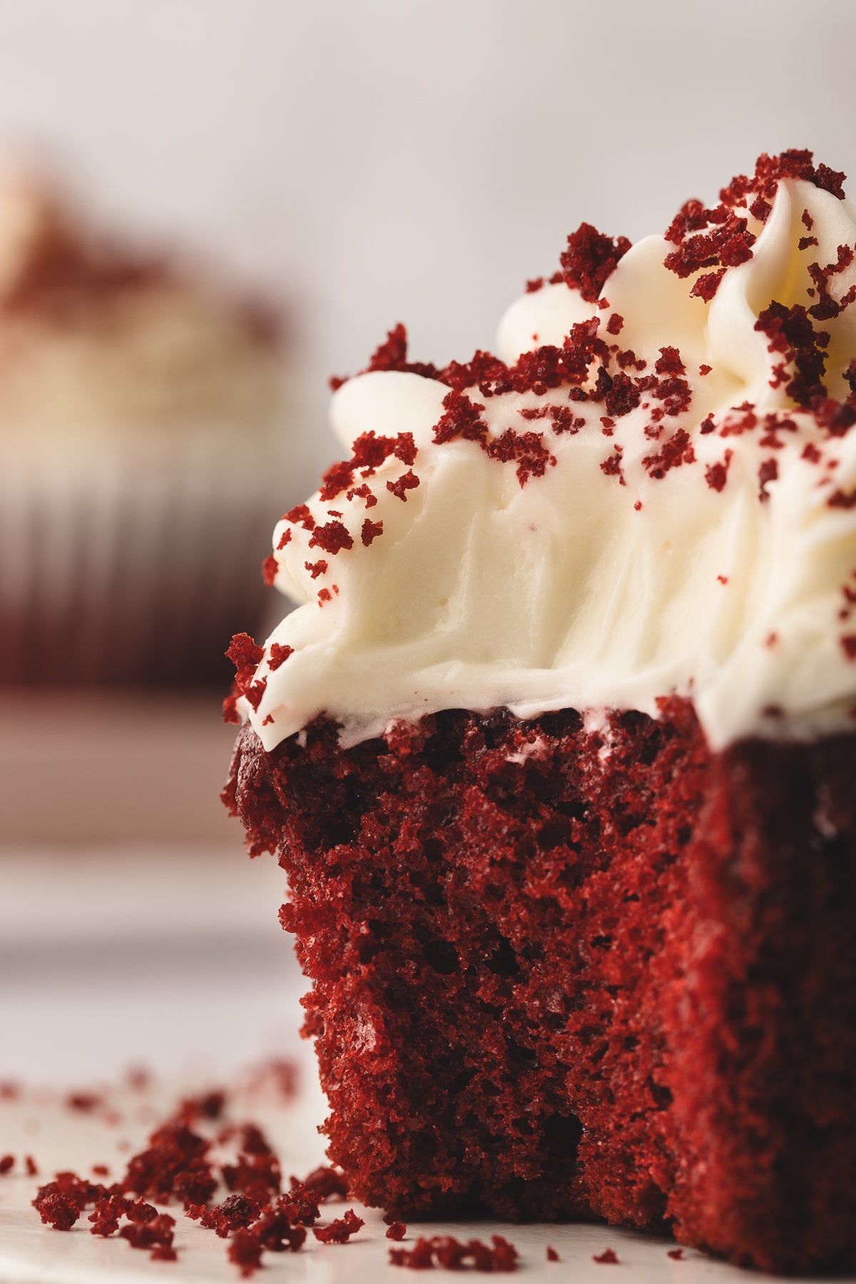 Holiday Pre-Sale: Cookies & Cupcakes