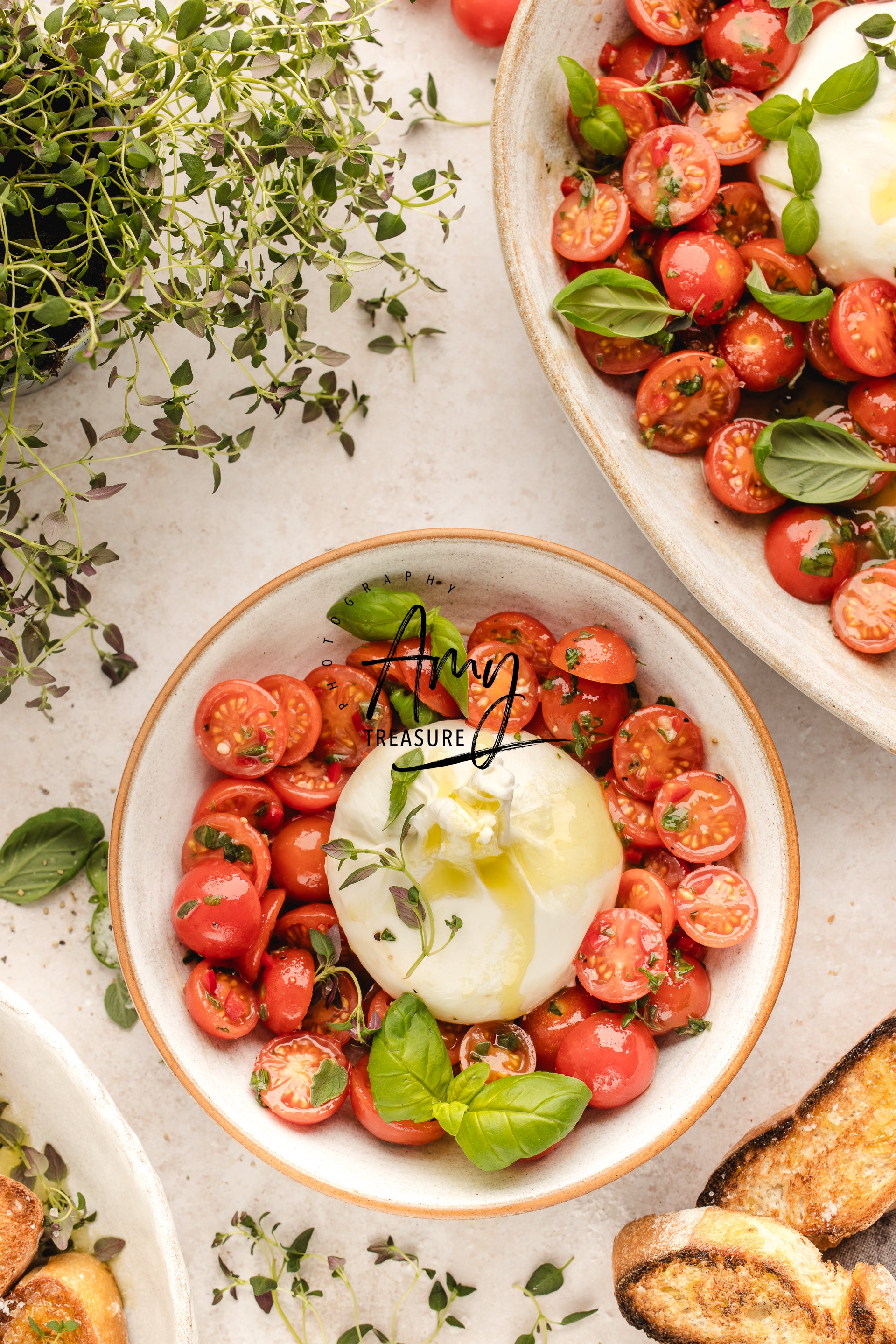 Tomato Burrata Salad Exclusive