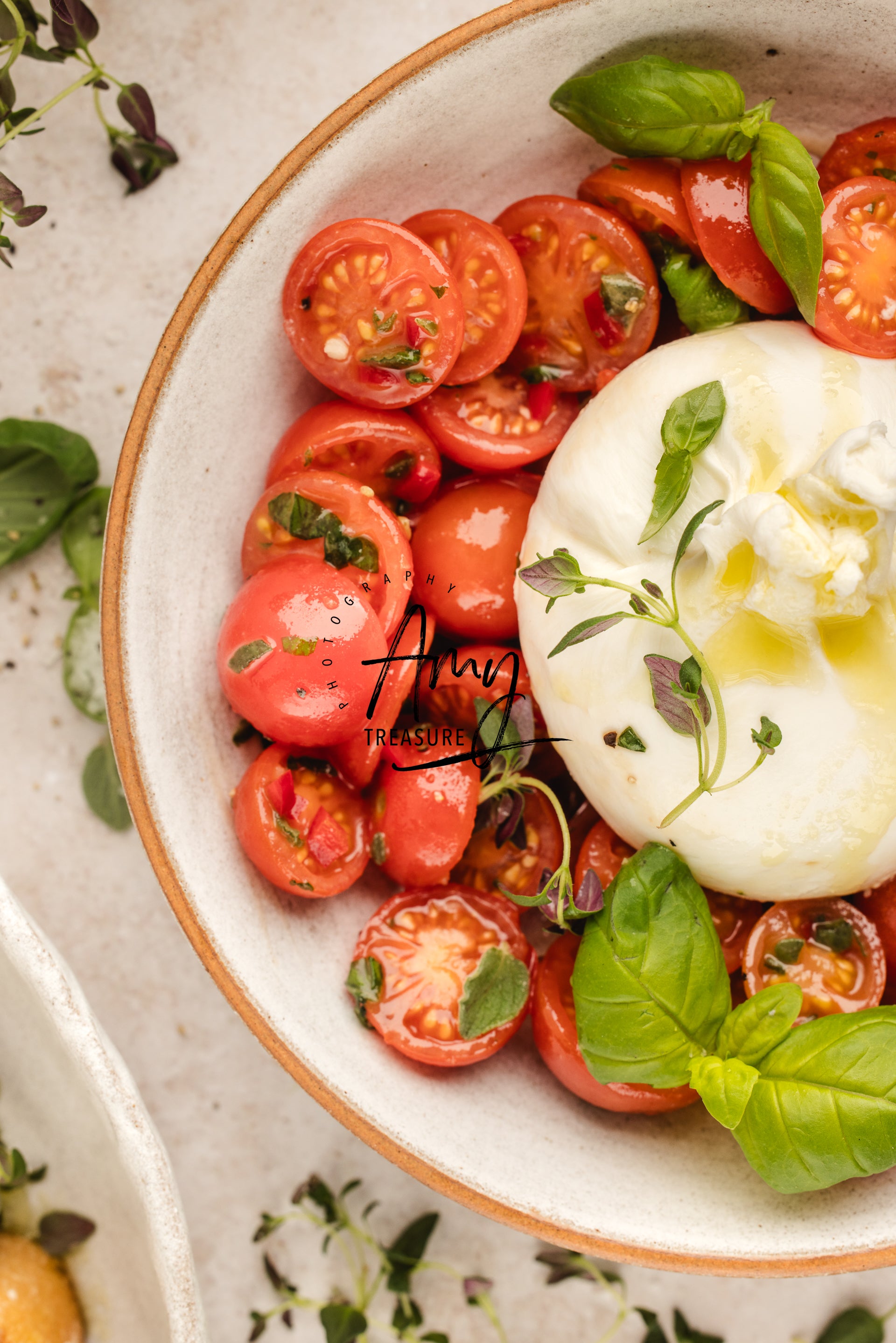 Tomato Burrata Salad Exclusive