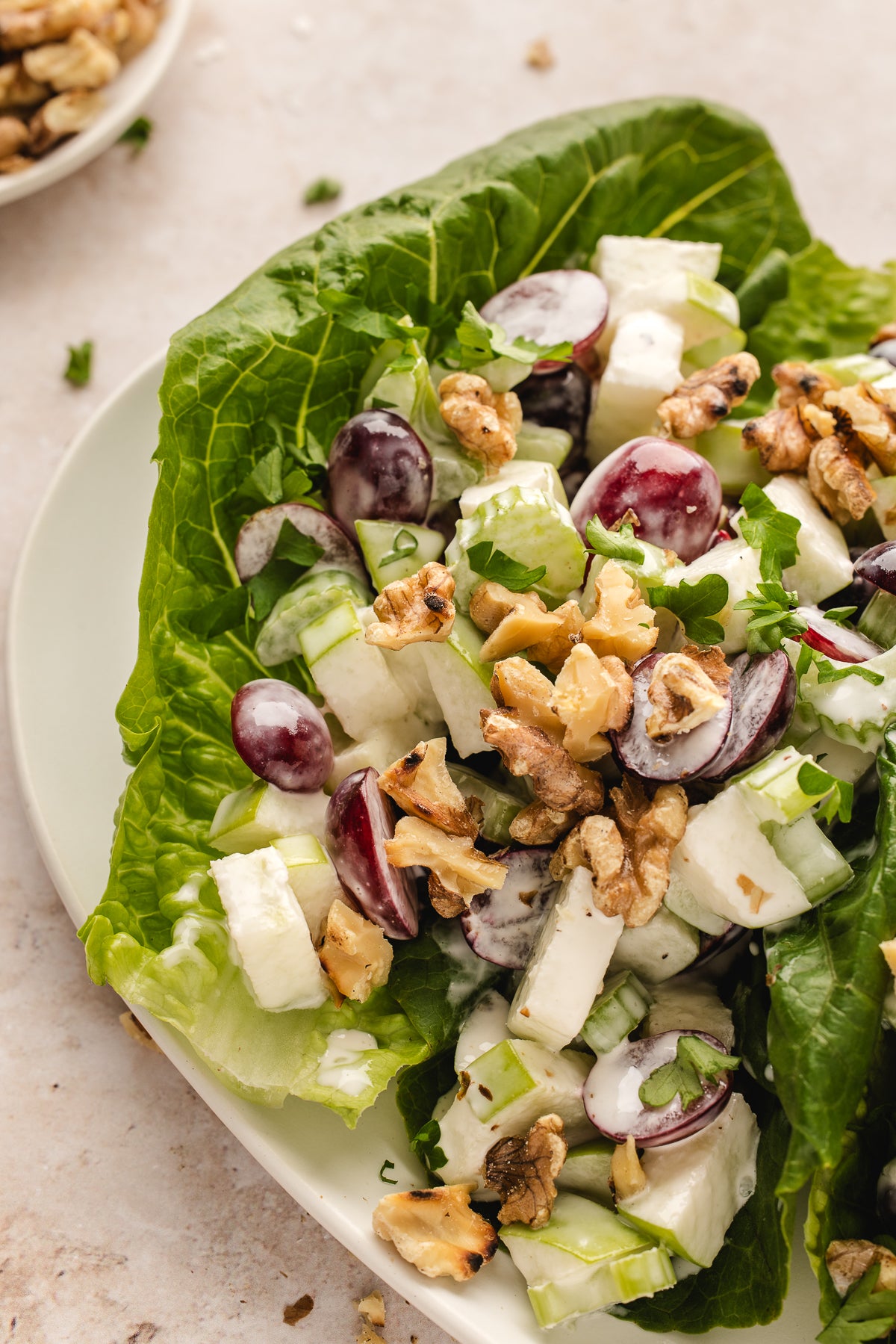Holiday Pre-Sale: Savory & Salads